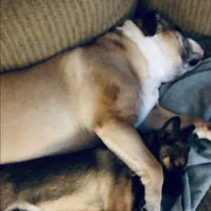 Meet your Posher, Cyndy